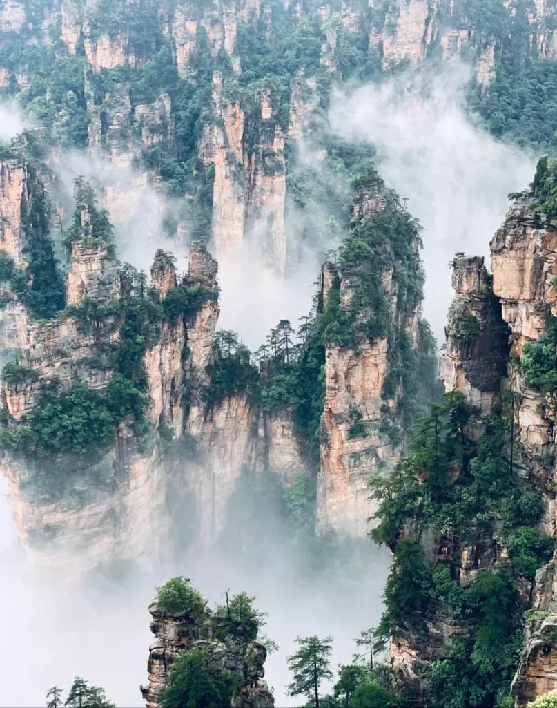 Zhangjiajie 5D4N Tour