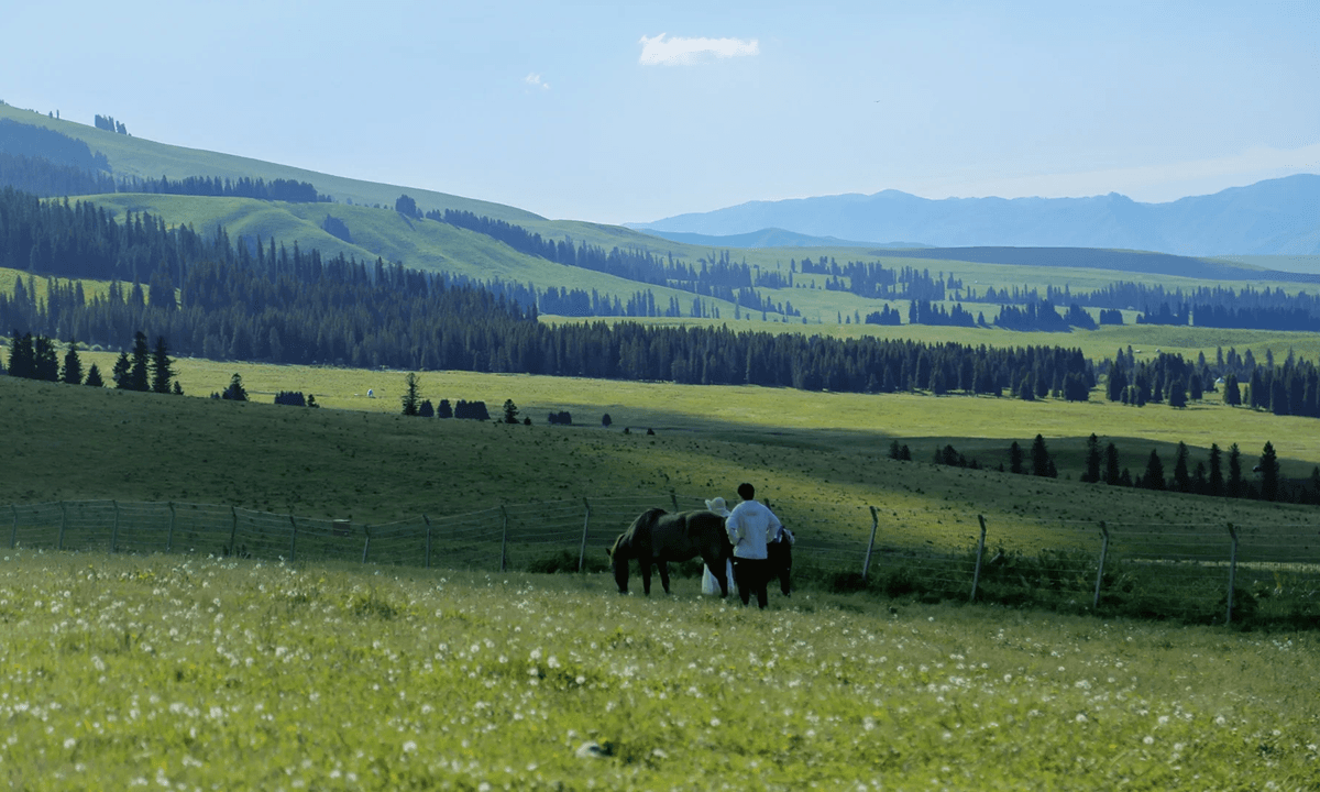 Tailor-made China travel with TravelToQin