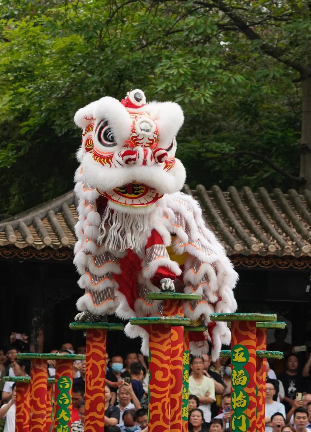 Dragon and Lion Dance