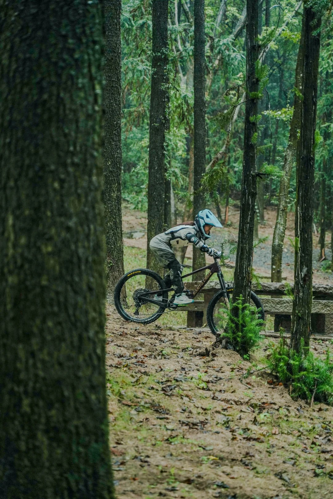 Cycling Adventure in the Forest